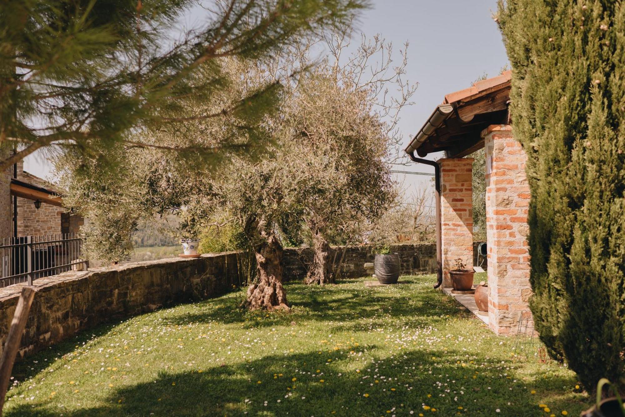 Dreamhill Meloni Villa Motovun Eksteriør bilde